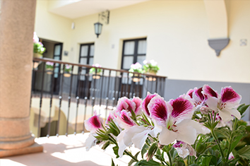 Hoteles Único Galeria